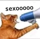 E0f7cB2WQAIjOGJ