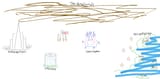map of 4chan edit