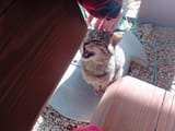 IMG_20250617_162548