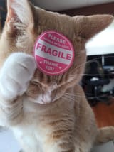 Fragile