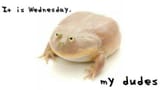 wednesdaymydudeswide