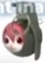 1000018348