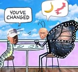 youvechanged