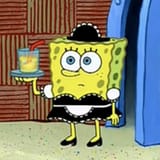 spongewife