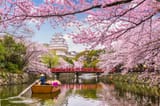 shutterstock_776445706-1