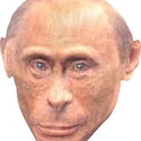 1723367775496197