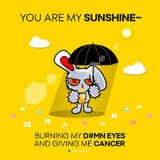 sunshine