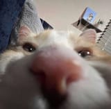 1716131324282518