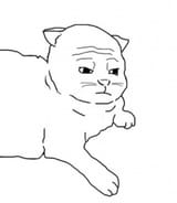 1750066405914972
