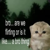a bro thing