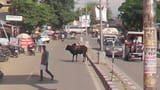 rajasthon