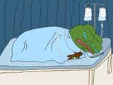 Apu 1831