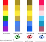 how-color-blind-people-see-colours-300x273-2