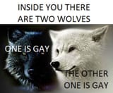 bzafltr7vl1d1