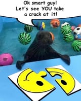 IMG_20250619_113732_474