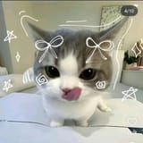 licky