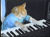 keyboard-cat