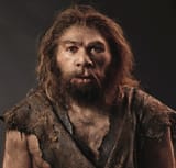 3dp_virtualfossil_-Neanderthals-e1450500179407