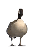 006wuNILly1henddgcujig304604agv6