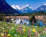 fbe29fa3105985f66e9053f46e58daf1_48025944.flowersinvalley1280x1024