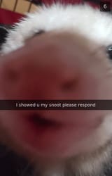 1000000183