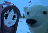 polar