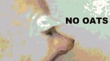 no oats