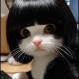 bob cat 5