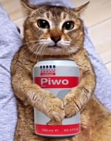 Piwo