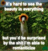 Screenshot_20250405-143305_Instagram