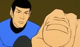 spock point