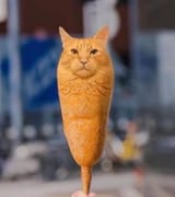 20250128_202033