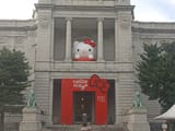 IMG_20241031_153027