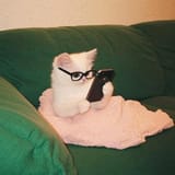 cat phone