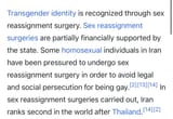 Persian trannies