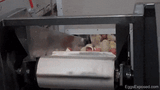 male-chicks-egg-industry