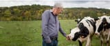 man-feeding-a-cow-banner