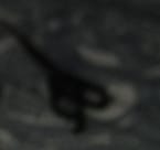 scissor
