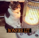 bonfire lit