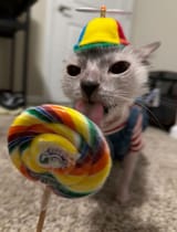 lalalala