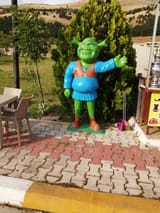 IMG_20190607_172046_1.jpg