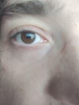 1000031564