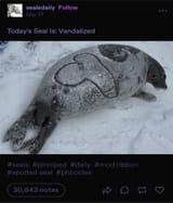 1750699389295288
