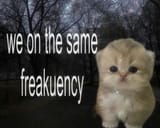 freakuency