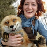 Happy Fox time
