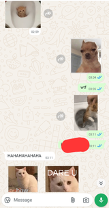 Screenshot_20250624_045642_WhatsApp
