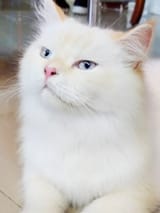 1750302534568459