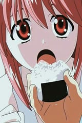 lucy rice ball