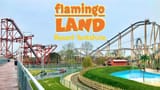 Flamingo Land