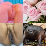Pussy